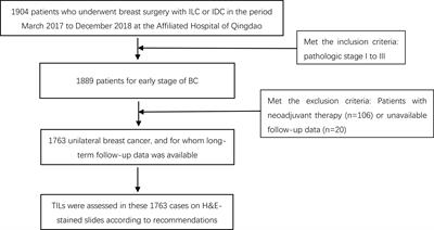 Tumor-infiltrating lymphocytes provides recent survival information for early-stage HER2-low-positive breast cancer: a large cohort retrospective study